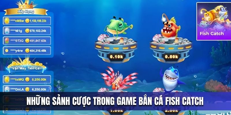 4-sanh-cuoc-co-tai-ban-ca-fish-catch