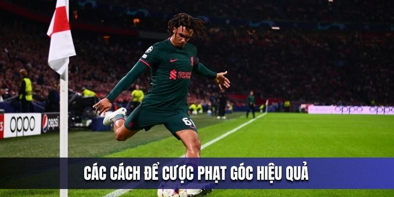 cac-cach-de-cuoc-phat-goc-hieu-qua