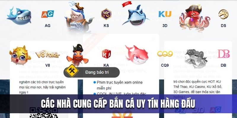 cac-nha-cung-cap-ban-ca-uy-tin-hang-dau