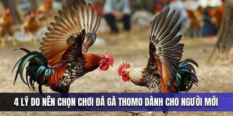 da-ga-thomo