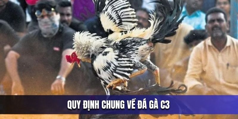 quy-dinh-chung-ve-da-ga-c3